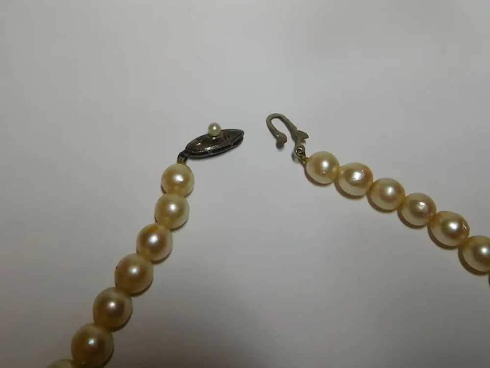 Cream White Freshwater Cultured Pearl Necklace 7.… - image 5