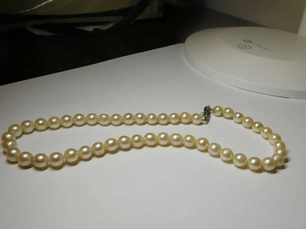 Cream White Freshwater Cultured Pearl Necklace 7.… - image 7