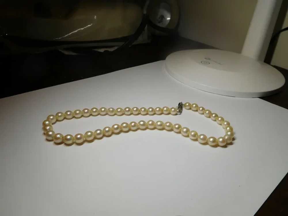 Cream White Freshwater Cultured Pearl Necklace 7.… - image 8