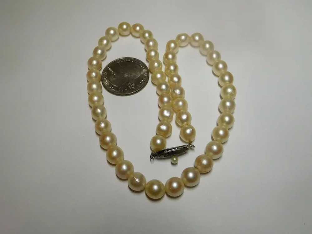 Cream White Freshwater Cultured Pearl Necklace 7.… - image 9