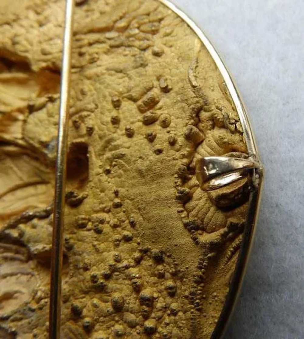Unusual 18th-19th C Medallion With 14K Mounts Bro… - image 7