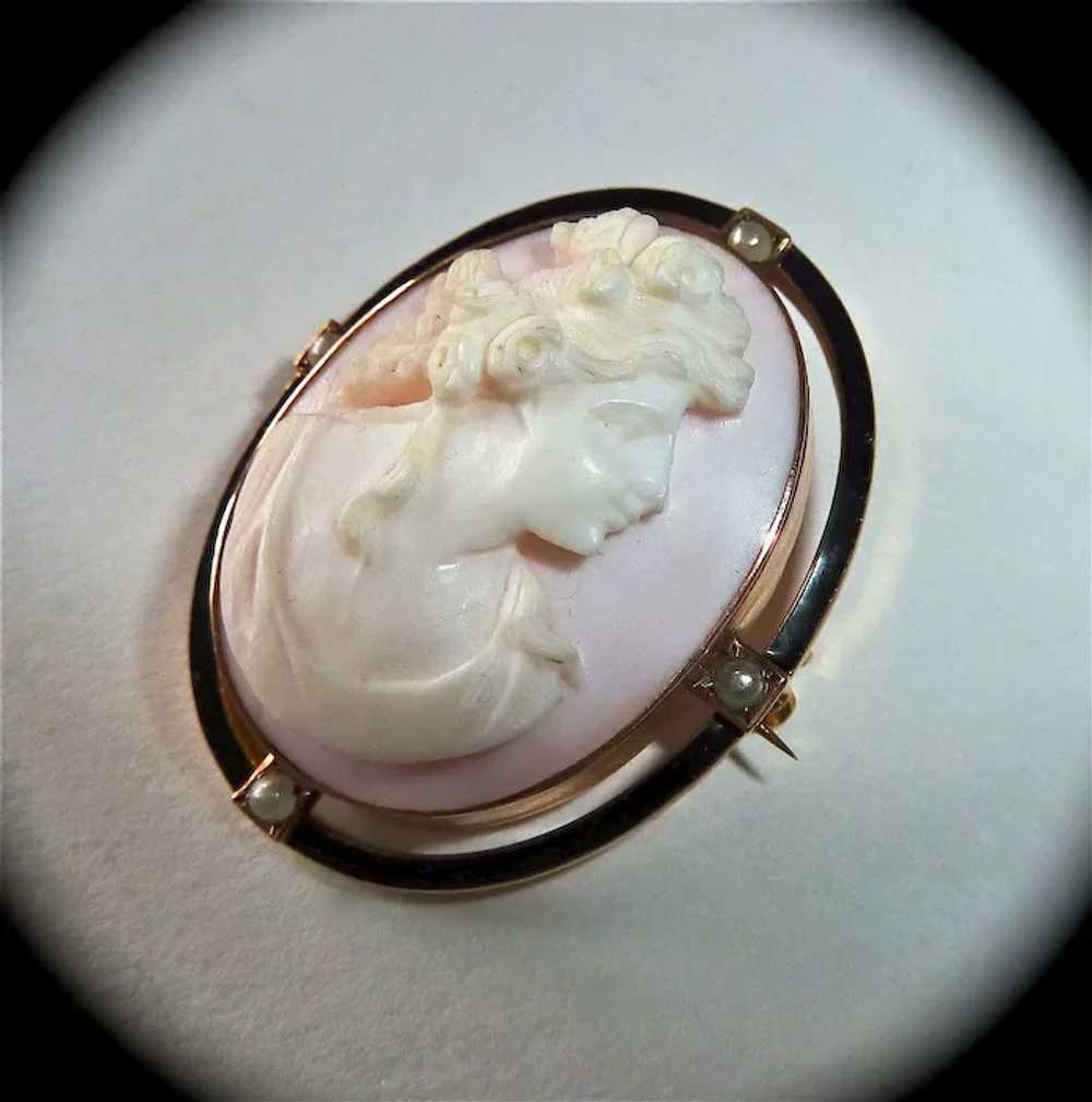 Antique 10k Rosalyn Shell Cameo Pin/ Pendant - image 7