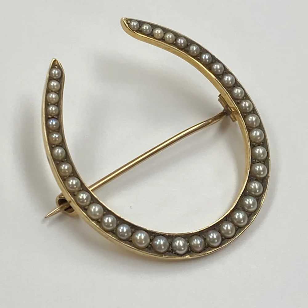 BIG Victorian Lucky Horseshoe Brooch 14K Gold & S… - image 3