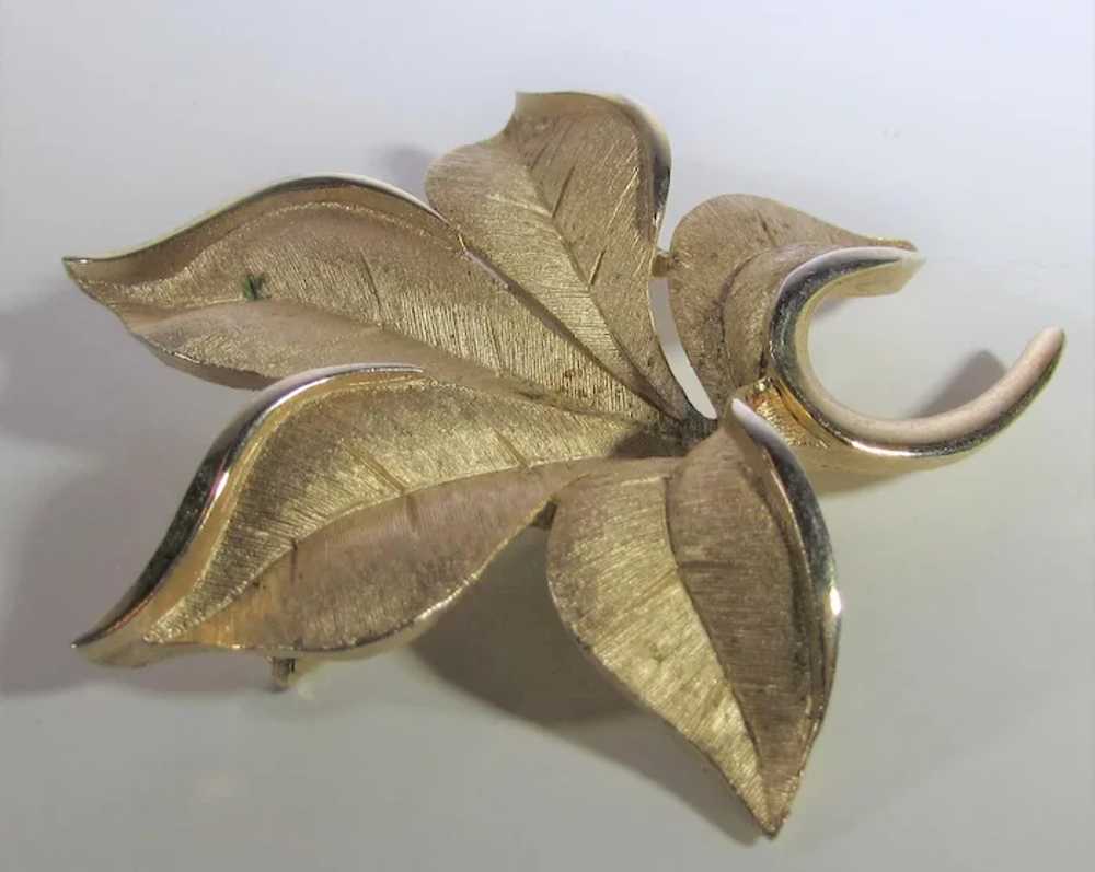 Vintage Crown Trifari Brushed Goldtone Leaf Pin - image 4