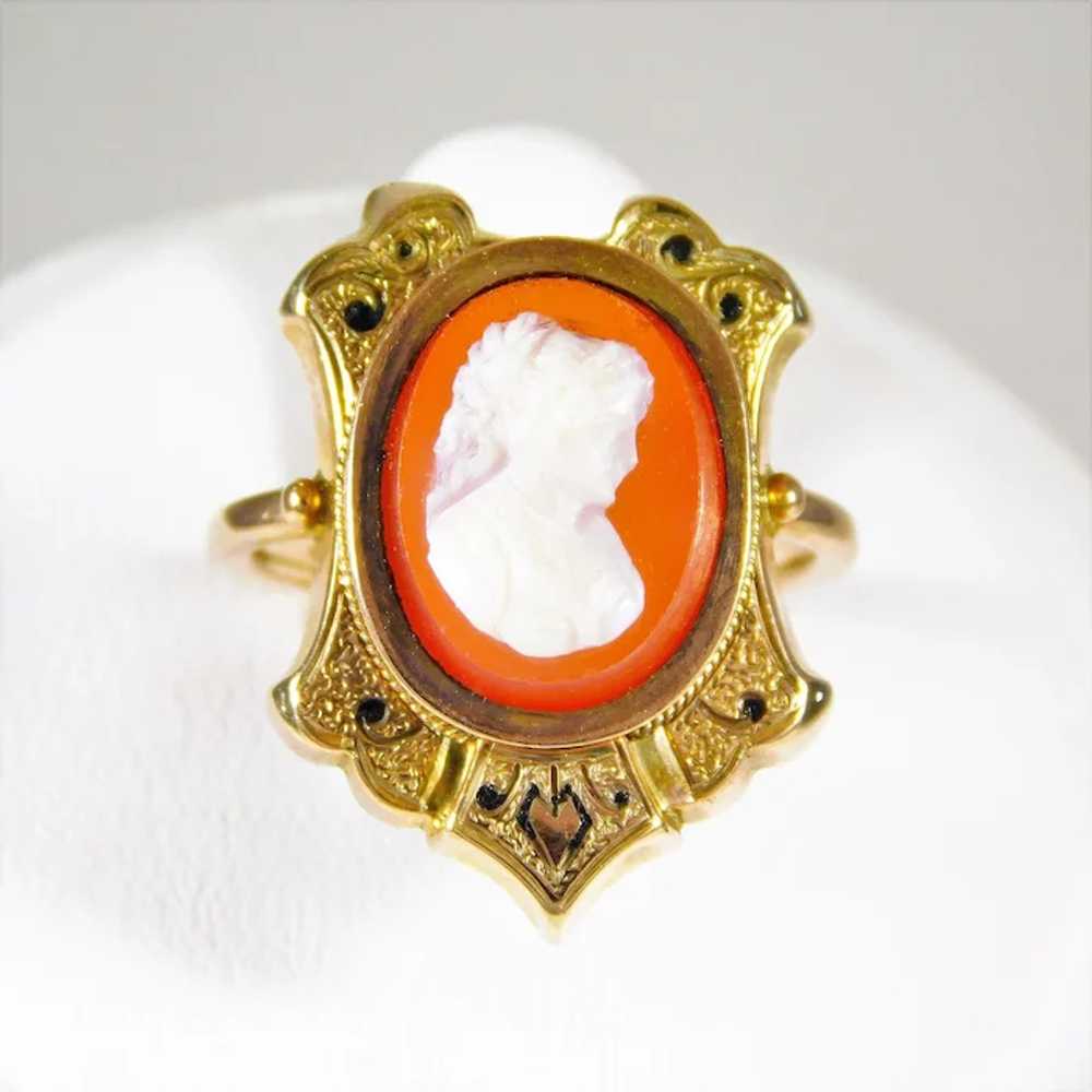 Antique Edwardian Style Cameo Pin, Ring, and Neck… - image 7