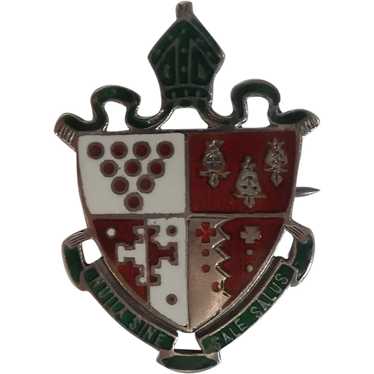 *Antique Birmingham Latin Shield Pin Vaughton and… - image 1