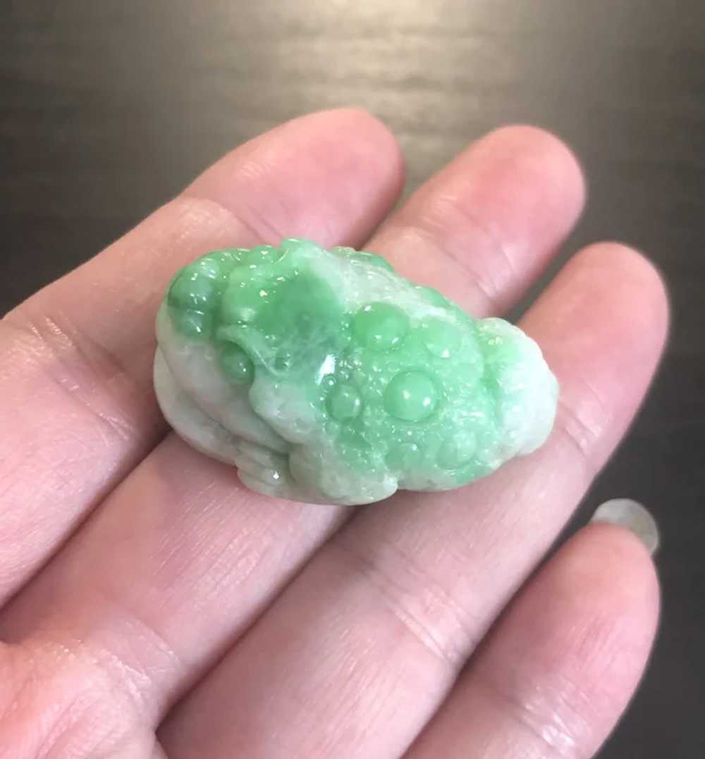 3D Lucky Frog Pendant, Natural Jadeite Jade - image 3