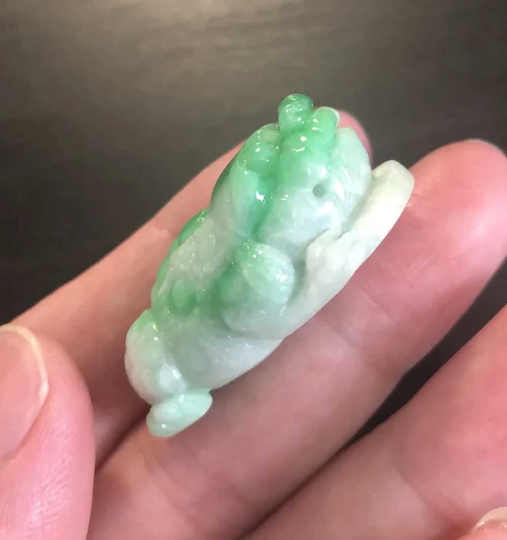 3D Lucky Frog Pendant, Natural Jadeite Jade - image 4