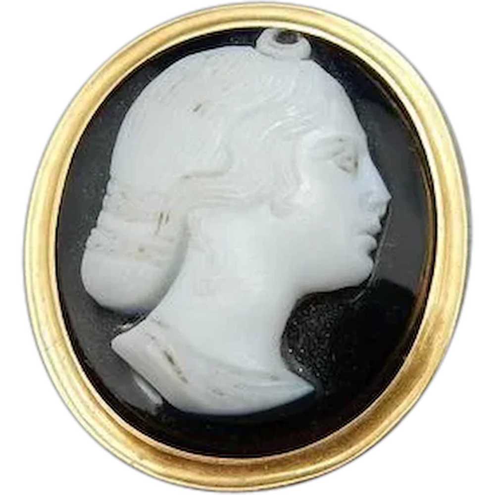 Vintage Sardonyx Cameo and 14 Karat Stick Pin - image 1