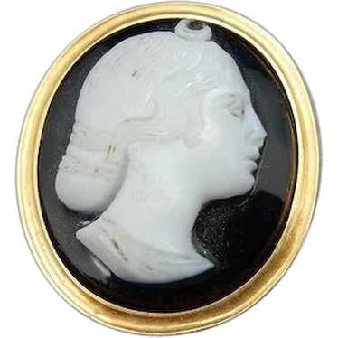 Vintage Sardonyx Cameo and 14 Karat Stick Pin - image 1