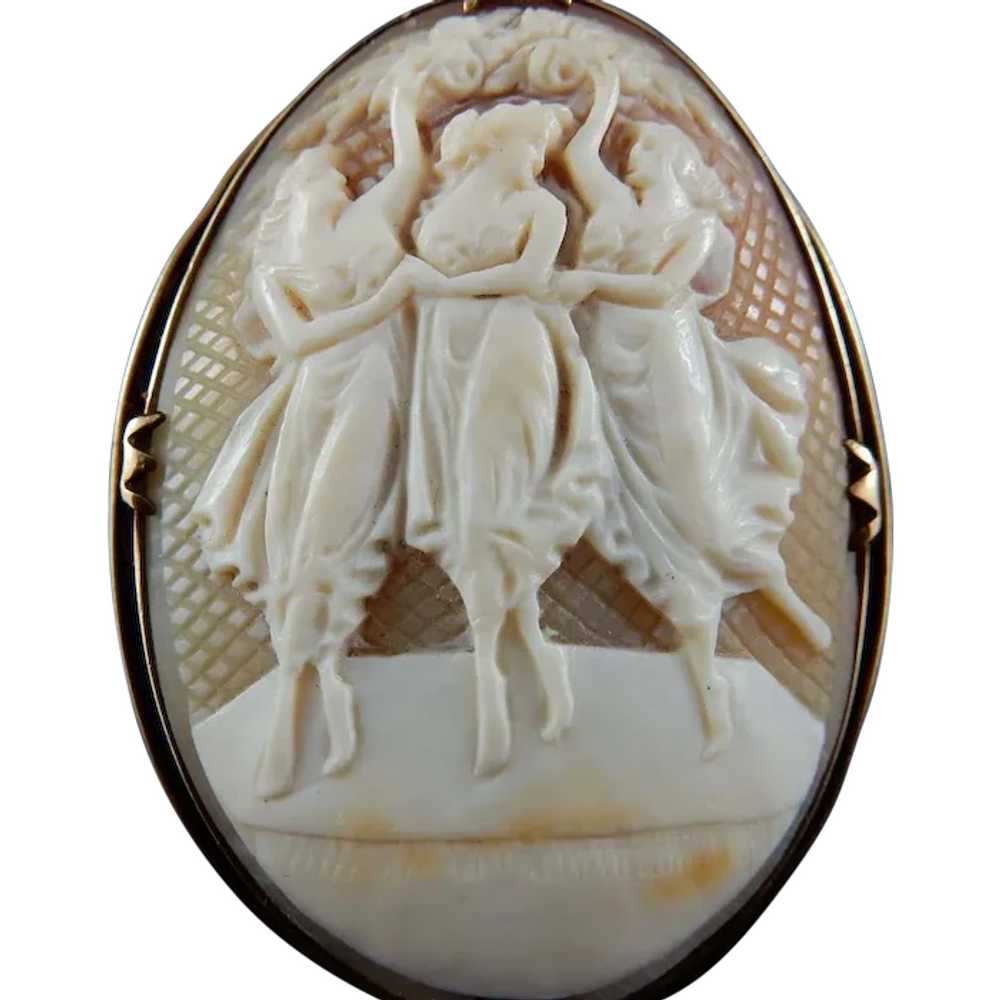 14 Karat Natural Shell Cameo Brooch - image 1