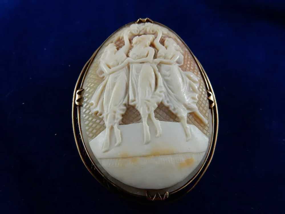 14 Karat Natural Shell Cameo Brooch - image 2