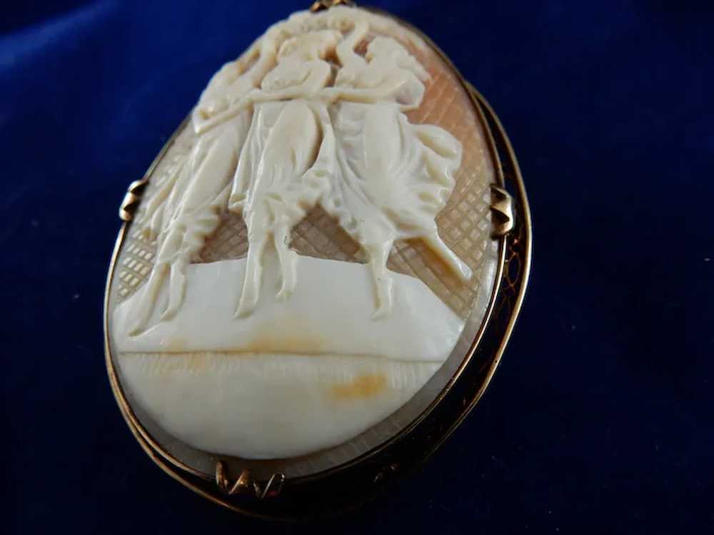 14 Karat Natural Shell Cameo Brooch - image 4