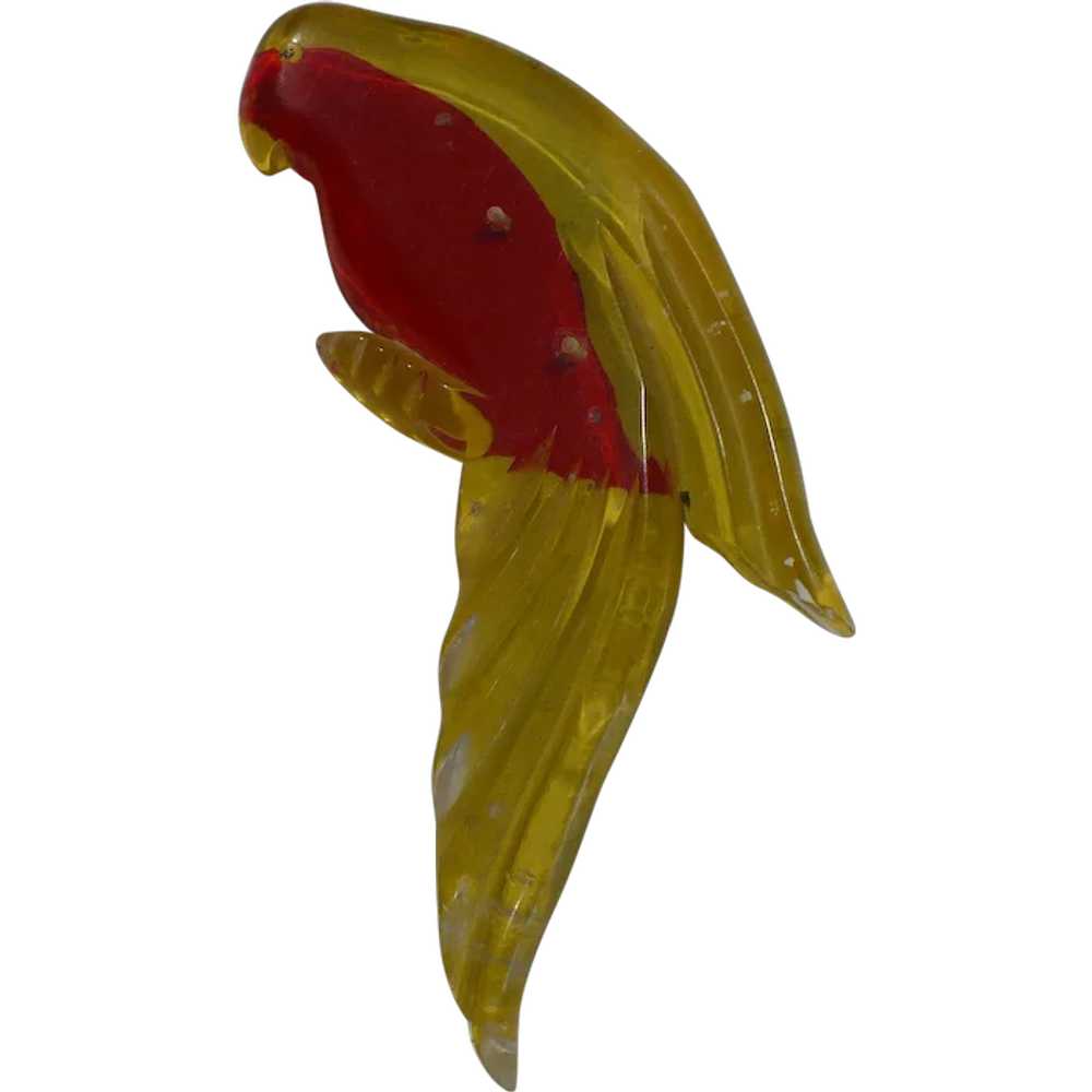 Carved Lucite Bird Pin - image 1