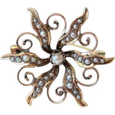 Late Victorian 10K Rose Gold Seed Pearl Starburst… - image 1