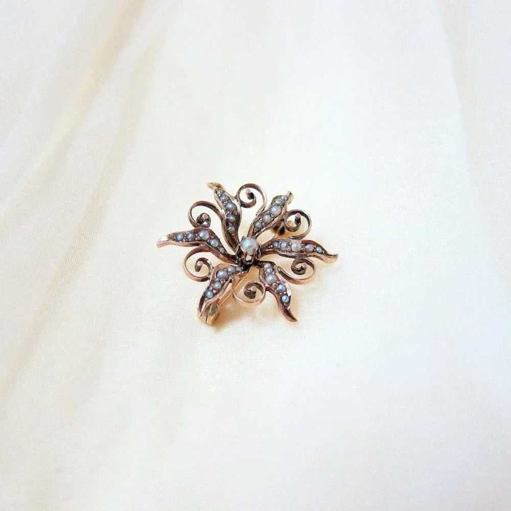 Late Victorian 10K Rose Gold Seed Pearl Starburst… - image 2