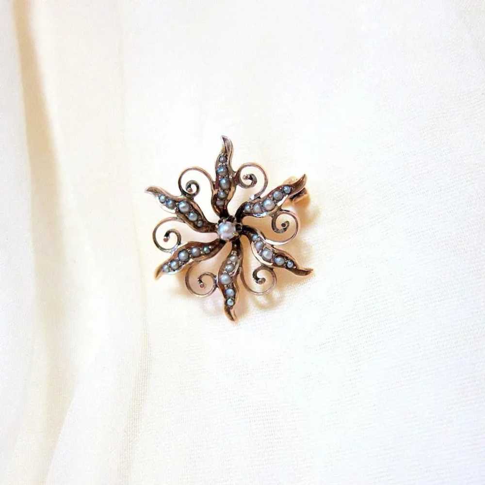 Late Victorian 10K Rose Gold Seed Pearl Starburst… - image 4