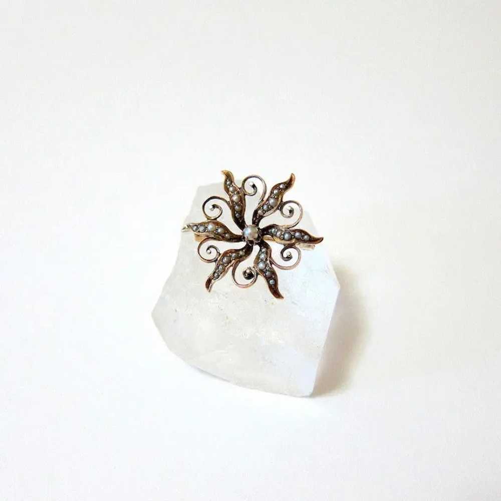 Late Victorian 10K Rose Gold Seed Pearl Starburst… - image 6