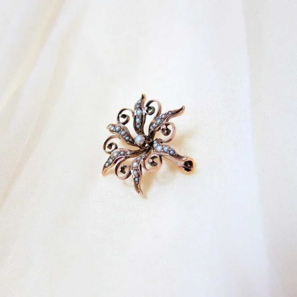 Late Victorian 10K Rose Gold Seed Pearl Starburst… - image 8