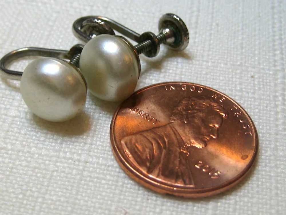 Imitation Pearl Screwback Button Earrings - image 5