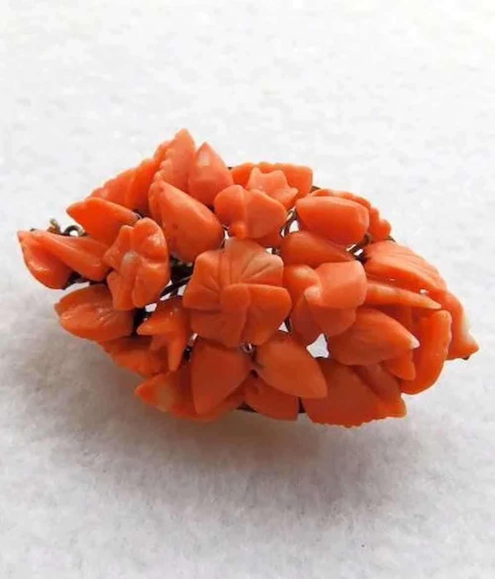 Victorian Carved Coral Brooch/Pin,  GF and 10K - image 3