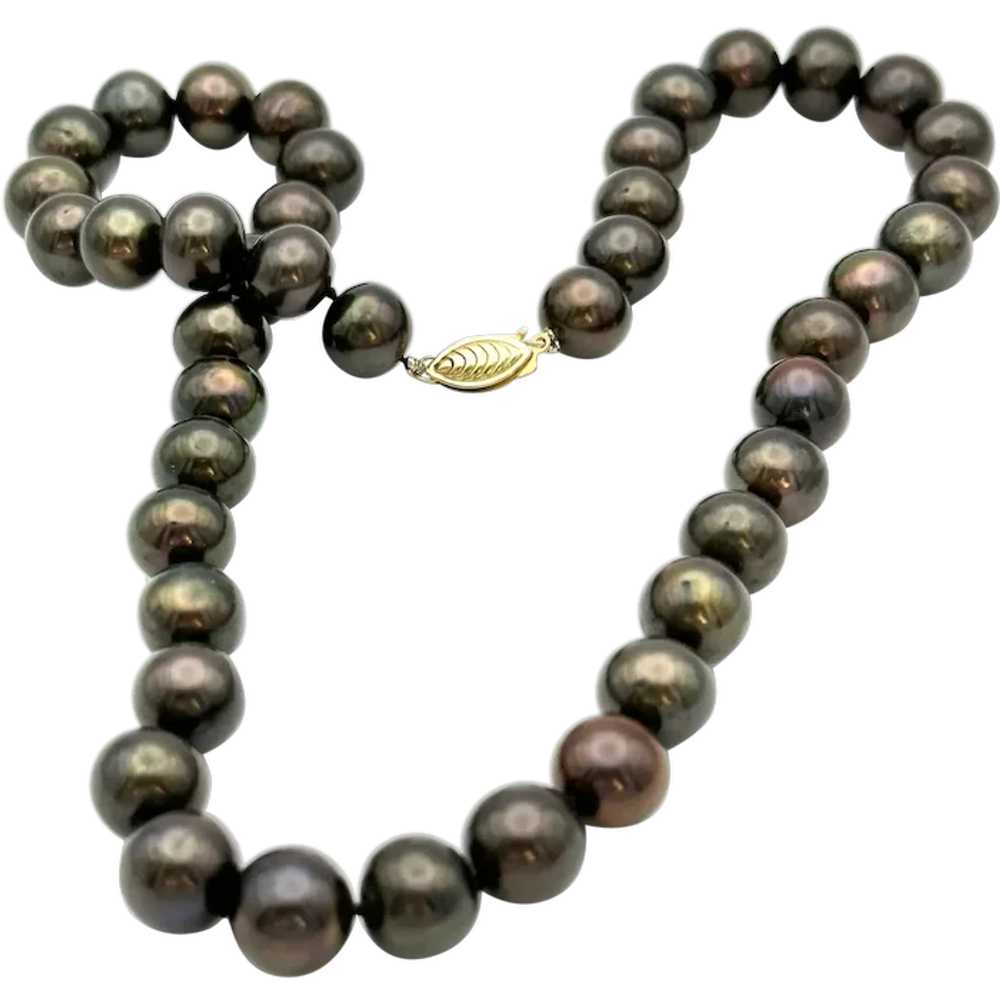 Ladies 14kt Vintage cultured chocolate pearls. - image 1