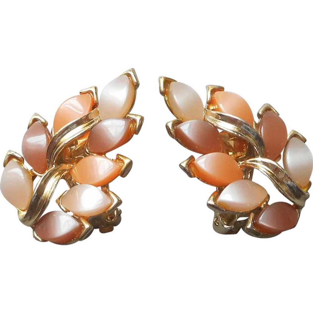 Kramer Autumn Colors Leaves Lucite Earrings Vinta… - image 1