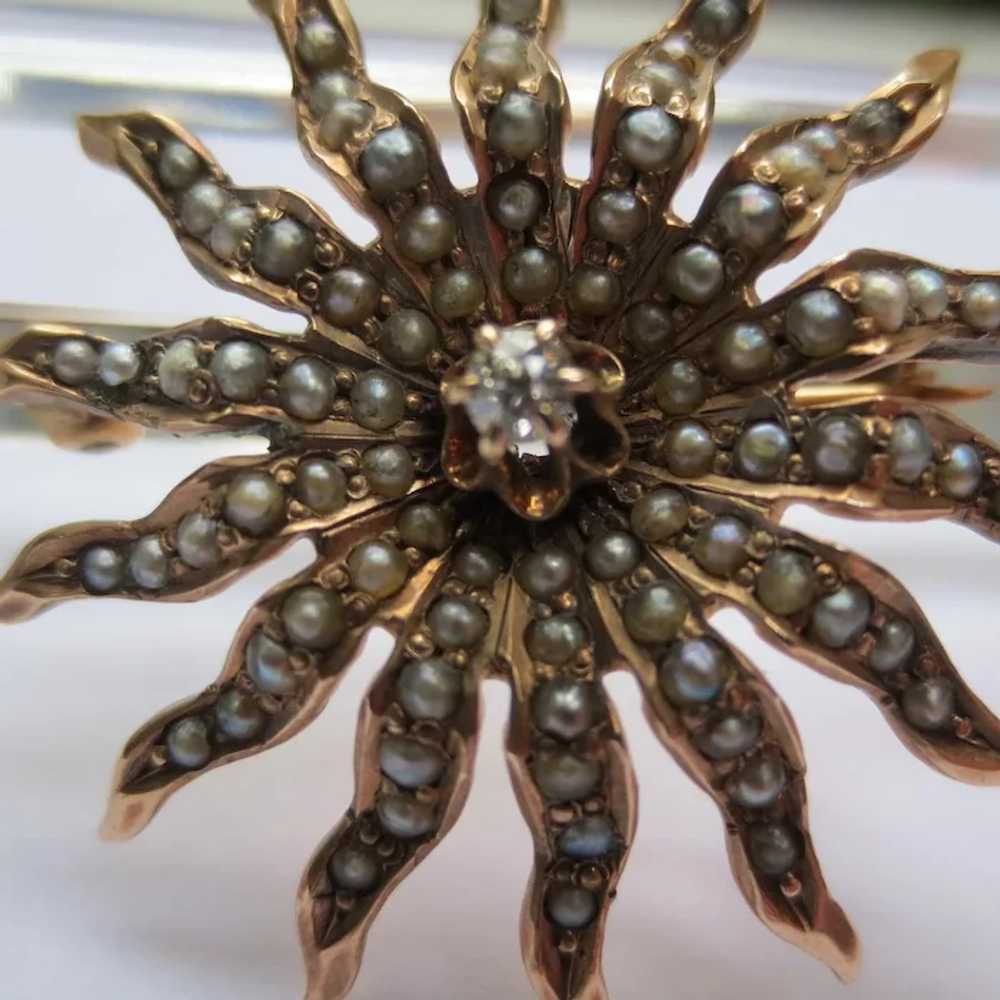 Victorian Starburst 14k Gold Seed Pearls & Diamon… - image 6