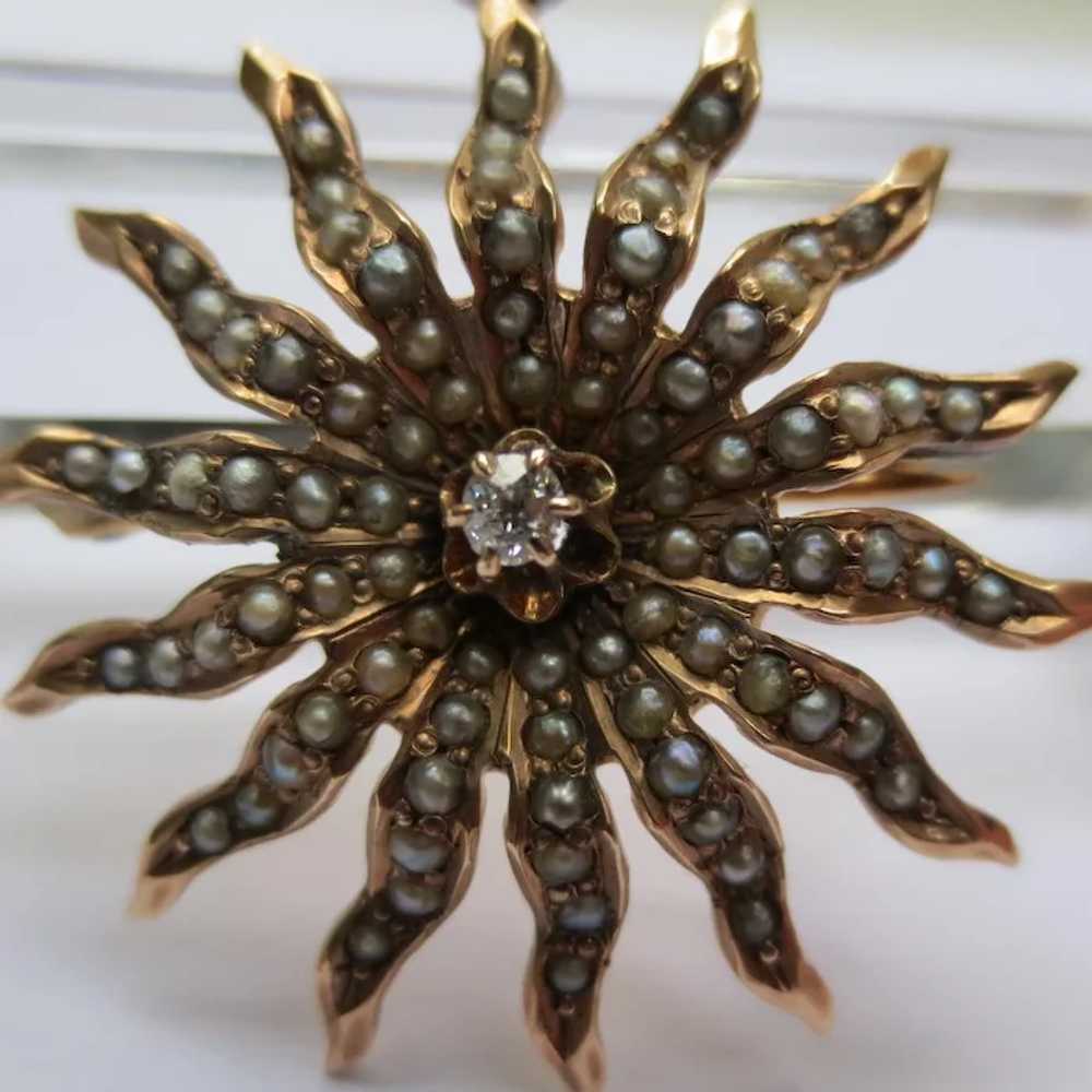 Victorian Starburst 14k Gold Seed Pearls & Diamon… - image 7