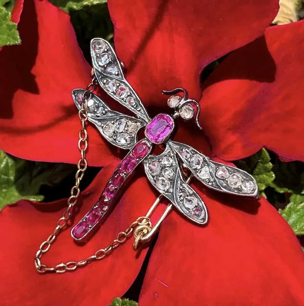 Art Nouveau French Ruby Diamond Dragonfly Brooch - image 2