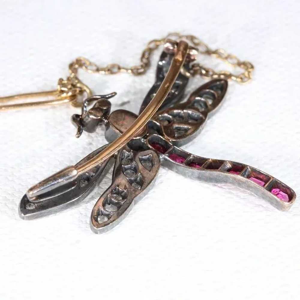Art Nouveau French Ruby Diamond Dragonfly Brooch - image 5