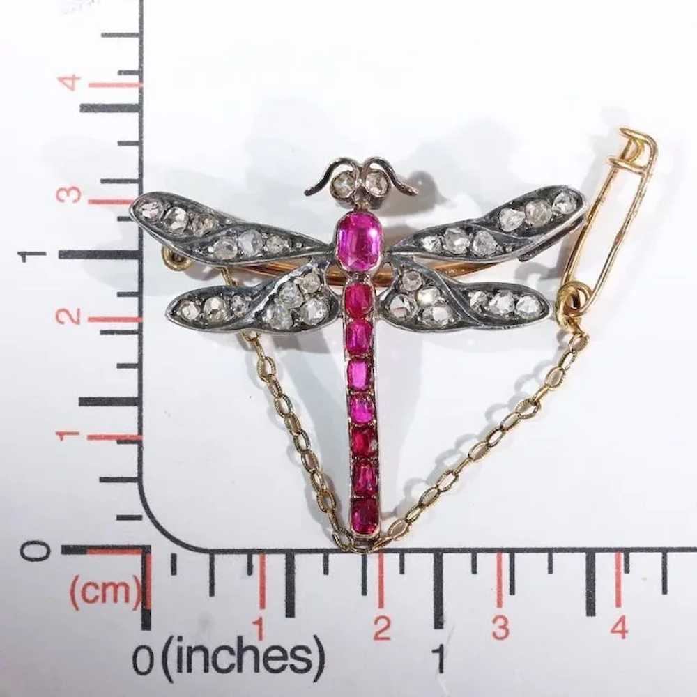 Art Nouveau French Ruby Diamond Dragonfly Brooch - image 8