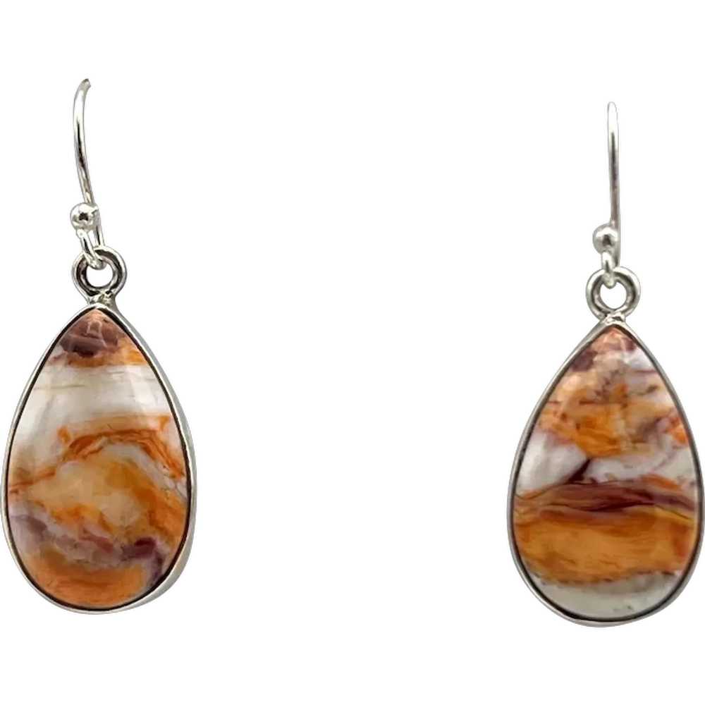 Lion's Paw Shell Earrings - Sterling Silver - image 1