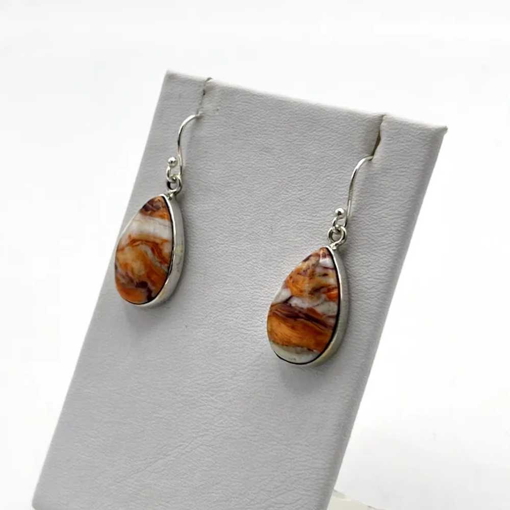 Lion's Paw Shell Earrings - Sterling Silver - image 2