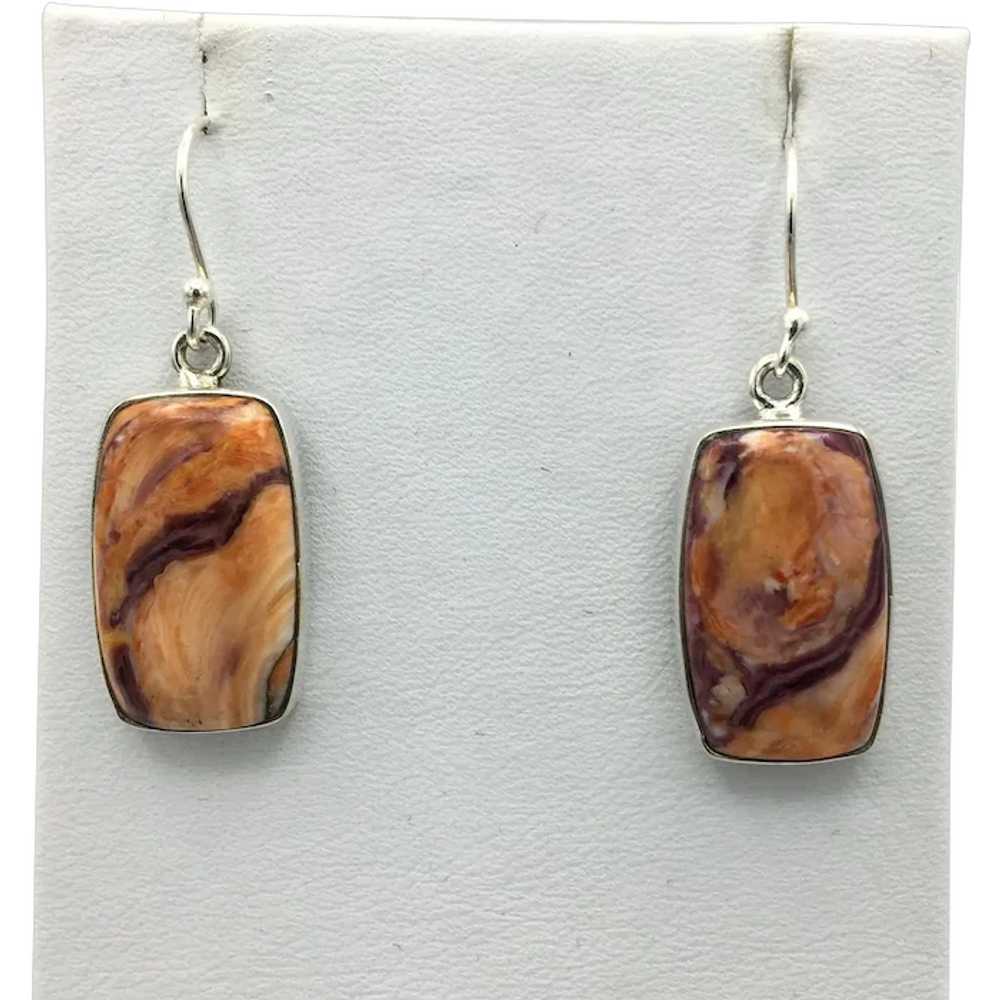 Lion's Paw Shell Earrings - Sterling Silver - image 1