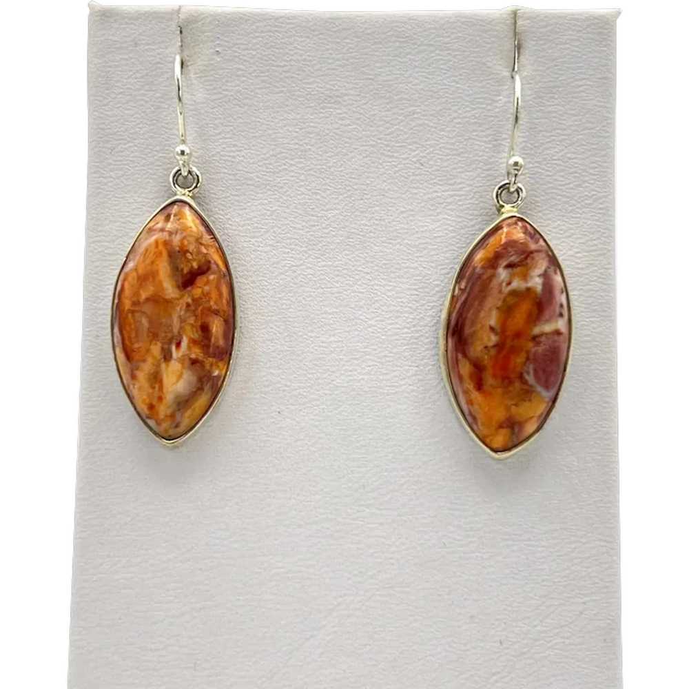 Lion's Paw Shell Earrings - Sterling Silver - image 1