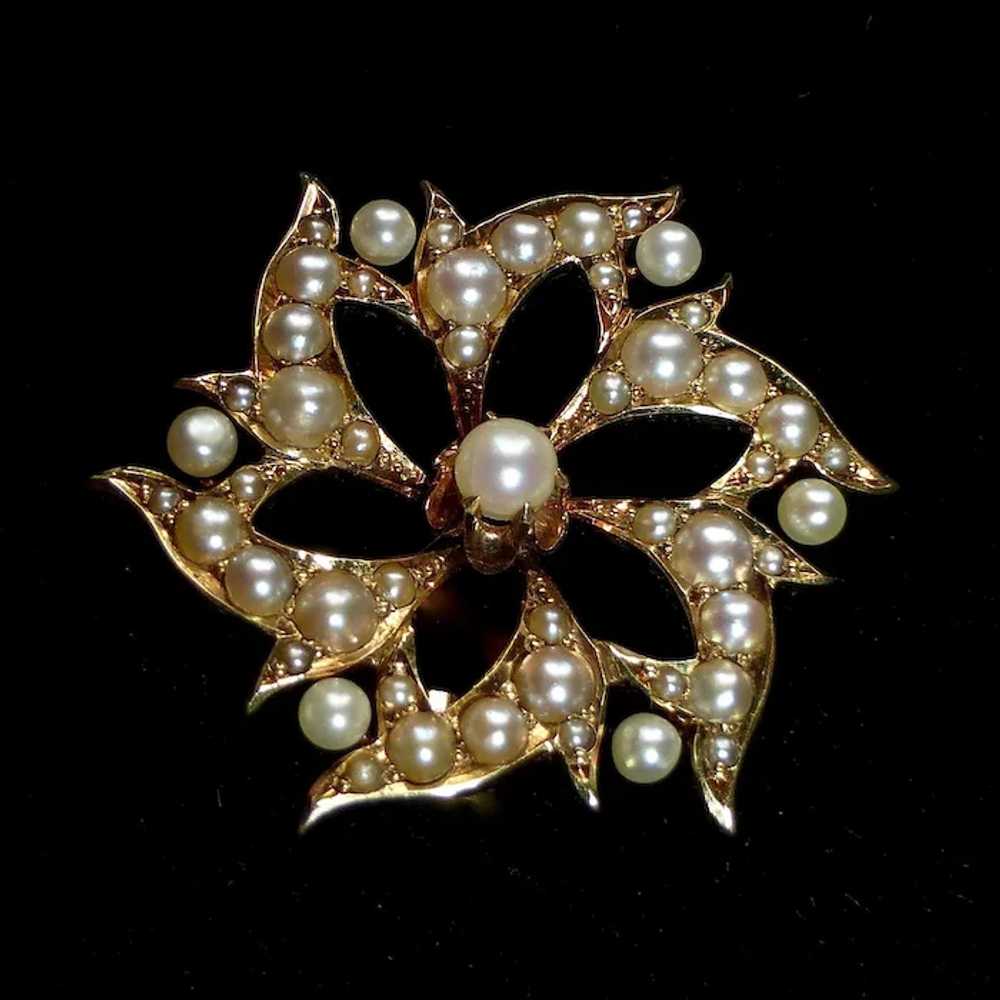 Antique Edwardian 14k & Seed Pearl Pendant/Pin Si… - image 4