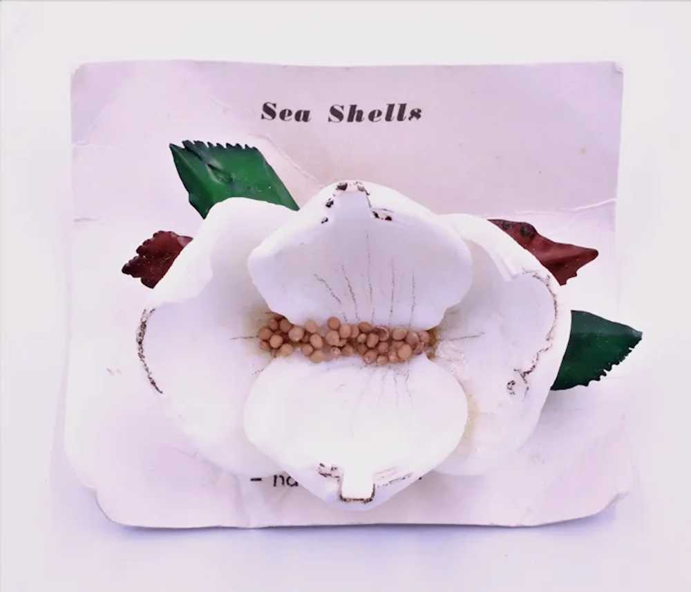 Brooch Pin Large Shell Flower Hand Made - image 2