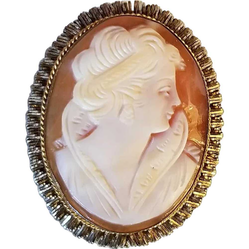 Vintage Right-Facing Cameo Brooch or Pendant - image 1