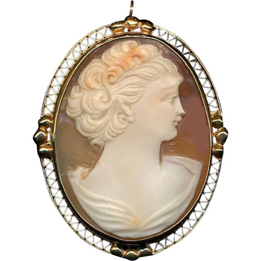 Art Deco Era 14K Carved Cameo Pin Pendant - She's… - image 1