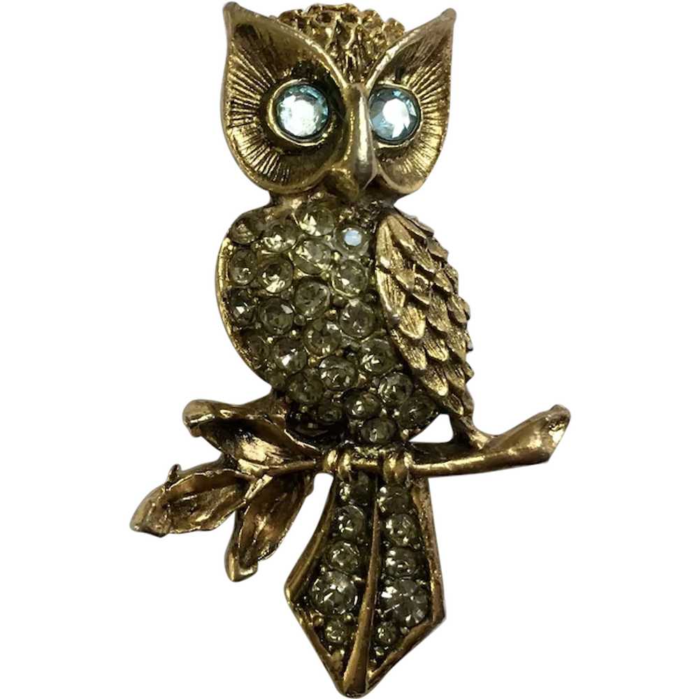 Witty Owl Gold-tone Rhinestone Blue Eyed Owl Pin … - image 1