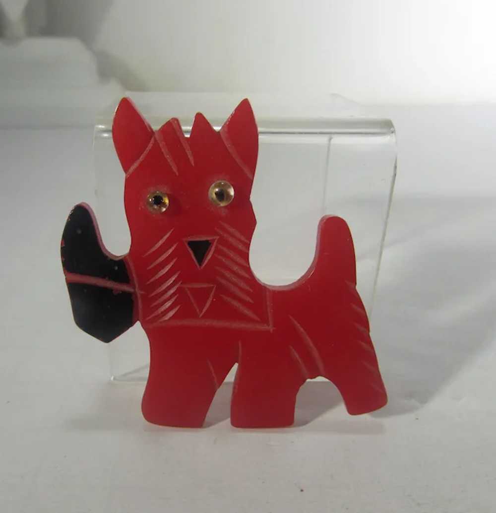 Bakelite Scottie Dog Pin with Red Body and Black … - image 2