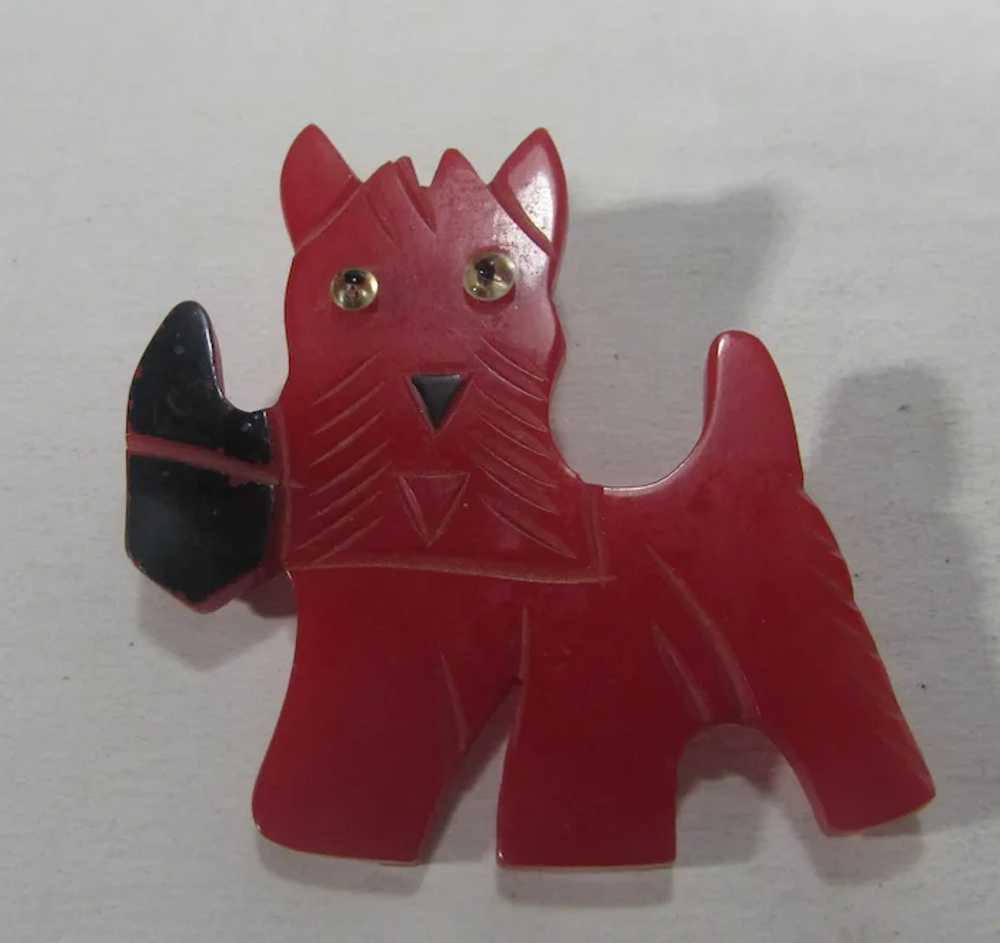 Bakelite Scottie Dog Pin with Red Body and Black … - image 3