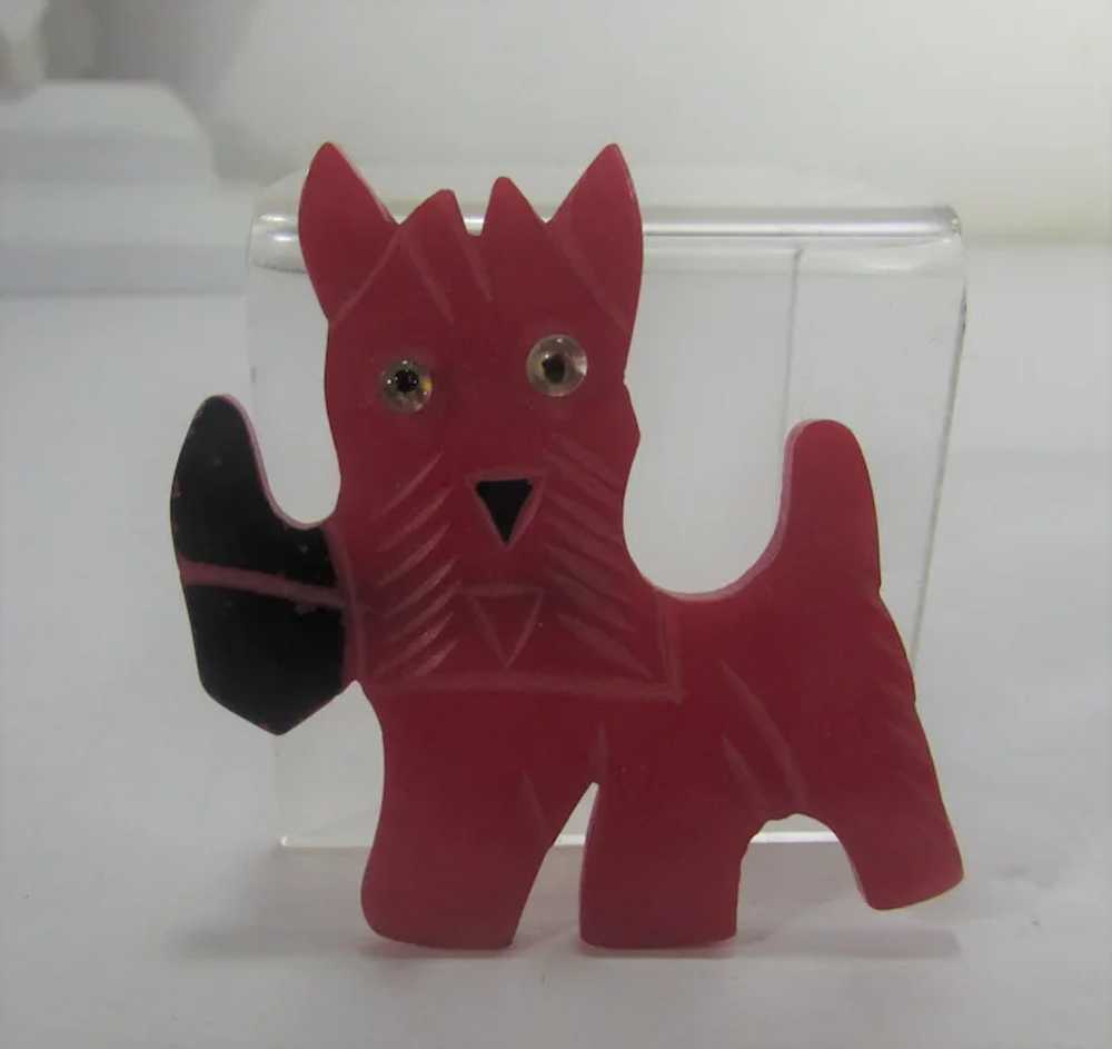 Bakelite Scottie Dog Pin with Red Body and Black … - image 5