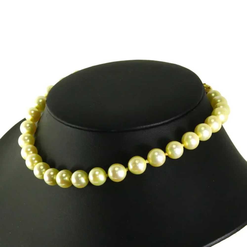 Ciner faux Pearl Choker Necklace – 16 Inches - image 3