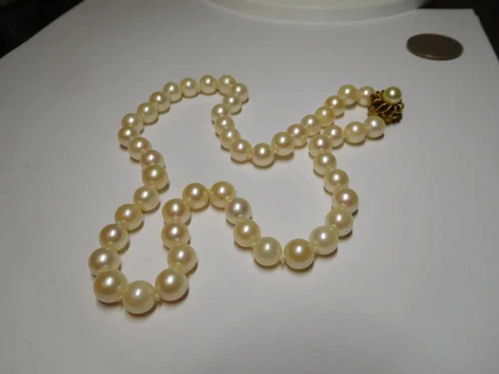 14k Cultured Pearl Strand Necklace - image 10