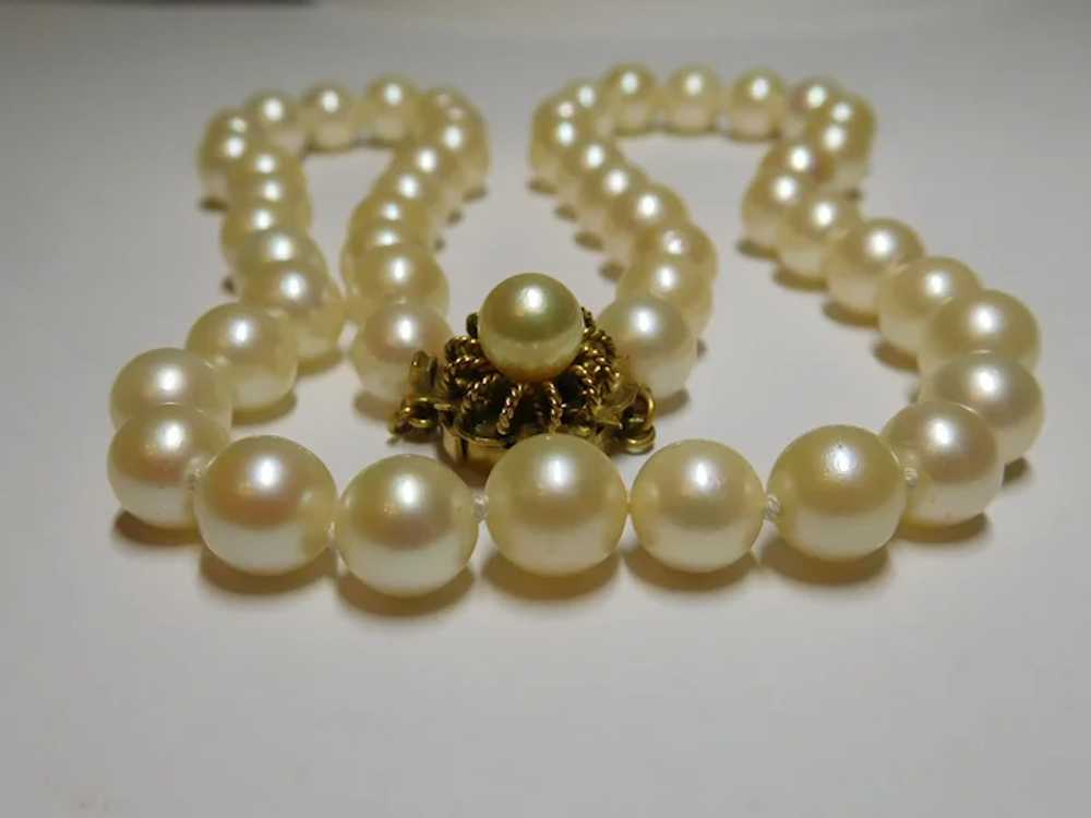 14k Cultured Pearl Strand Necklace - image 4