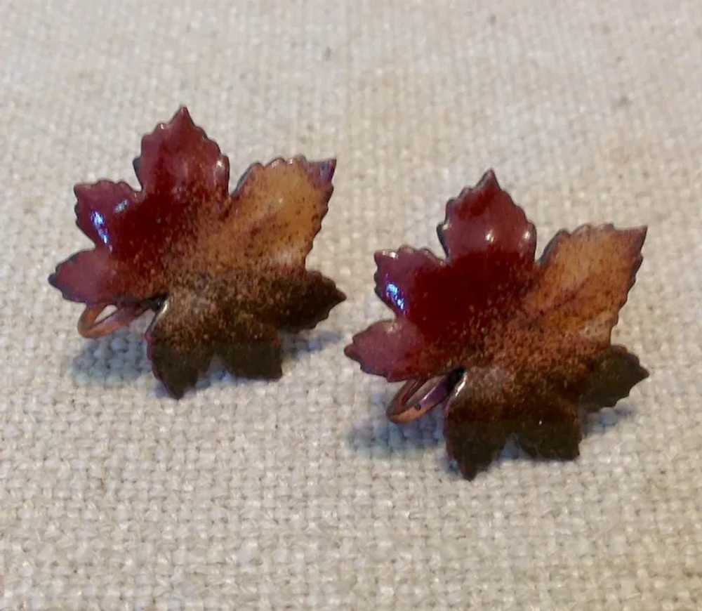 Canadian Enameled Maple Leaf Screw Back Earrings - image 2
