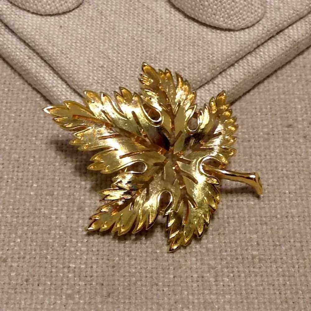 Gold Tone Metal Maple Leaf Brooch - image 2