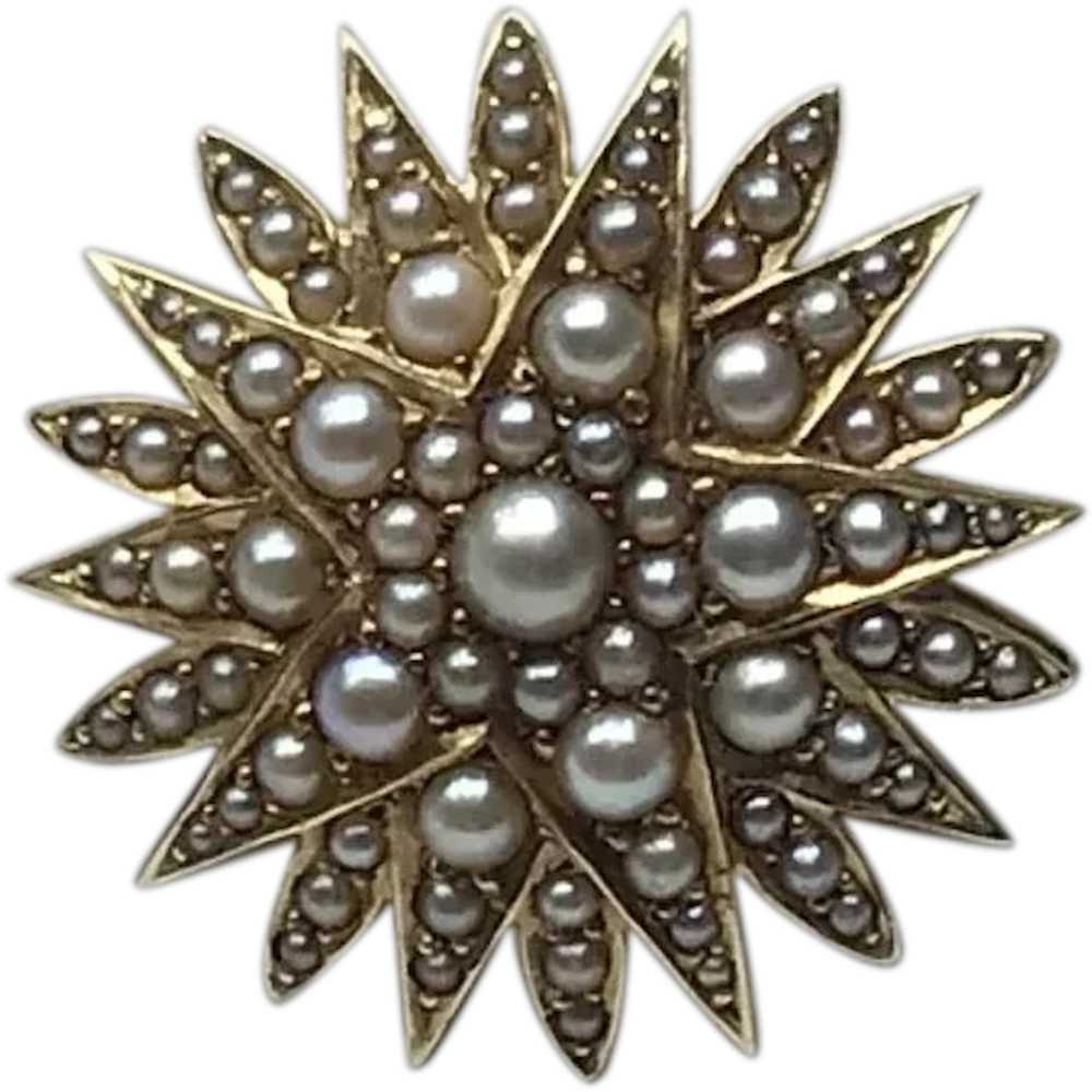 14K Yellow Gold Seed Pearl Starburst Brooch & Wat… - image 1